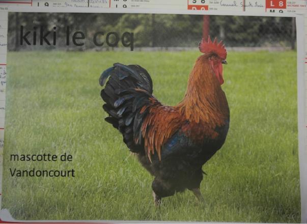 Kiki le coq, la mascotte de Vandoncourt